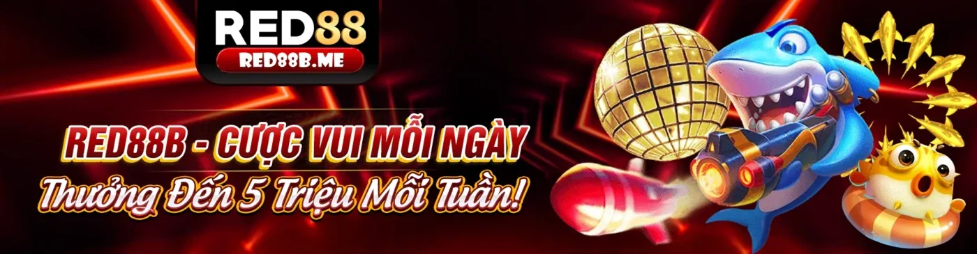Hình ảnh nền Điều khoản và Điều kiện của vx88 chính thức